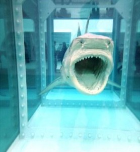 Damien Hirst's Shark